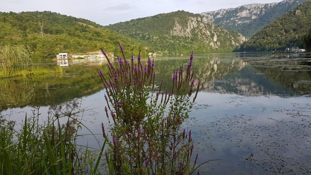 Appartamento Casa Colt De Rai Ogradina Esterno foto